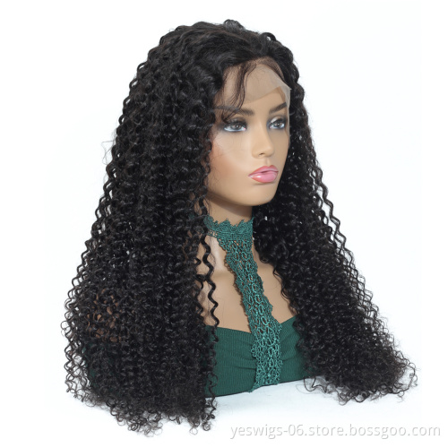 Cheap Hair Wig Natural Curly Full Lace Cuticle Aligned Virgin Indian Human Raw Hair Free Sample Wig Pre Plucked Kinky Curly Wigs